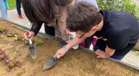 I bambini della Di Vittorio seminano il mais nel loro orto biologico