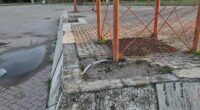 parco ranieri degrado
